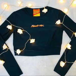 Long Sleeved Crop Top